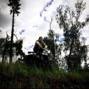 ���������� ������, ���� ������� �����, 31 ���, ������������ ��� ����� � ���������, c�������� ���������