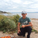 ���������� �����������, ���� ������� ��������, 44 ����, ������������ ��� ������, ����� � ���������