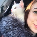 ���������� �����-���������, ���� ������� �����, 27 ���, ������������ ��� ������, ����� � ���������, c�������� ���������