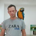 ���������� ���������, ���� ������� ���������, 40 ���, ������������ ��� ������, ����� � ���������, c�������� ���������, ���������