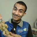 ���������� �����-���������, ���� ������� �����, 33 ����, ������������ ��� ����� � ���������, c�������� ���������