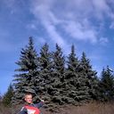 ���������� �������, ���� ������� ������, 36 ���, ������������ ��� ������, ����� � ���������, c�������� ���������