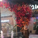  ,   , 54 ,   