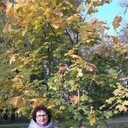 ���������� ������, ���� ������� �����, 65 ���, ������������ ��� c�������� ���������