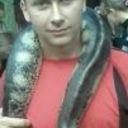 ���������� ������, ���� ������� Tema, 31 ���, ������������ ��� ������