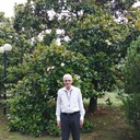  ,   , 60 ,   , 