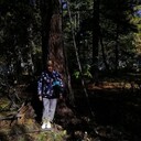 ���������� �����-���������, ���� ������� ����, 60 ���, ������������ ��� ������, ����� � ���������