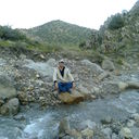  ,   919077147, 37 ,   