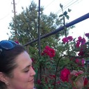 ���������� ������, ���� ������� ������, 42 ����, ������������ 