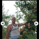  ,   , 60 ,   ,   , c , 
