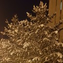 ���������� �����������, ���� ������� ������, 49 ���, ������������ ��� ������, ����� � ���������, c�������� ���������