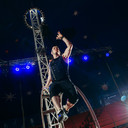 ���������� �����, ���� ������� �������, 40 ���, ������������ ��� ����� � ���������, c�������� ���������