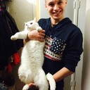 ���������� ����, ���� ������� ������, 28 ���, ������������ ��� ������, ����� � ���������, c�������� ���������