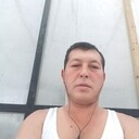 ���������� �����������, ���� ������� Amrillo, 50 ���, ������������ ��� ������, ����� � ���������