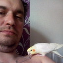 ���������� �������������, ���� ������� ����, 39 ���, ������������ ��� ������, ����� � ���������, c�������� ���������