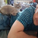 ���������� ������������, ���� ������� ���������, 49 ���, ������������ ��� ������, ����� � ���������, c�������� ���������, ���������