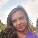  ,   , 29 ,   c 
