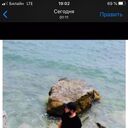 ���������� ������, ���� ������� �����, 36 ���, ������������ ��� ������, ����� � ���������