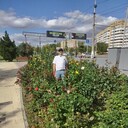 ���������� ���������, ���� ������� ��� ���, 45 ���, ������������ ��� ������, ����� � ���������