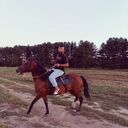 ���������� ������, ���� ����� ��������, 23 ����, ������������ ��� ������, ����� � ���������