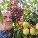  --,   , 65 ,   ,   , 