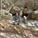 ���������� �����������, ���� ������� ���������, 38 ���, ������������ ��� ������, ����� � ���������