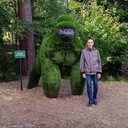 ���������� ���������, ���� ������� �������, 37 ���, ������������ ��� c�������� ���������, ���������