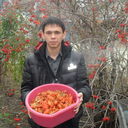 ���������� ���������, ���� ������� ������, 41 ���, ������������ ��� ������