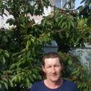  --,   , 49 ,   ,   , c , 