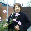  ,   , 62 ,   ,   , c 