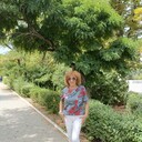  ,   , 66 ,   ,   