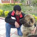 ���������� ����, ���� ������� XA����, 44 ����, ������������ ��� ������, ����� � ���������, c�������� ���������