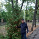 ���������� ������, ���� ������� ���������, 71 ���, ������������ ��� ������, ����� � ���������