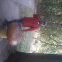 ���������� �����������, ���� ������� �����, 58 ���, ������������ ��� ������, ����� � ���������, c�������� ���������