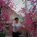 ���������� ������, ���� ������� �������, 51 ���, ������������ ��� ������, ����� � ���������, c�������� ���������