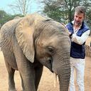 ���������� ������, ���� ������� ������, 37 ���, ������������ ��� ������, ����� � ���������, c�������� ���������, ���������