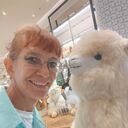 ���������� �������, ���� ������� �����, 63 ����, ������������ ��� c�������� ���������, ���������