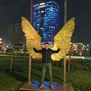 ���������� �������, ���� ������� �� �����, 33 ����, ������������ ��� ����� � ���������, c�������� ���������