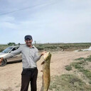 ���������� �����-���������, ���� ������� �����, 37 ���, ������������ ��� ������, ����� � ���������