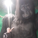 ���������� �����������, ���� ������� �������, 41 ���, ������������ ��� ������, ���������