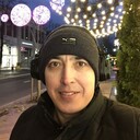  -,   , 41 ,   ,   