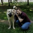 ���������� �����, ���� ������� �������, 41 ���, ������������ ��� ������, ����� � ���������