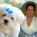 ���������� ������, ���� ������� �������, 57 ���, ������������ ��� ����� � ���������, c�������� ���������