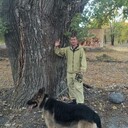 ���������� ������-��-����, ���� ������� �������, 47 ���, ������������ ��� ������, ����� � ���������