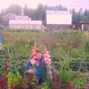 ���������� ���������, ���� ������� �����, 52 ����, ������������ ��� ������, ����� � ���������, c�������� ���������