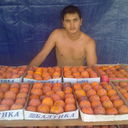   ,   Solik, 36 ,     , c 