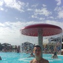 ���������� �����, ���� ������� ����, 31 ���, ������������ ��� ������