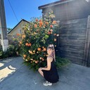  ,   , 29 ,   c 