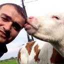 ���������� ������, ���� ������� ���������, 37 ���, ������������ ��� ������, ����� � ���������, c�������� ���������