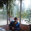 ���������� ������, ���� ������� ������, 38 ���, ������������ ��� ����� � ���������, c�������� ���������